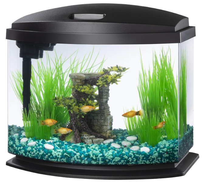 how long a 5 gallon aquarium last