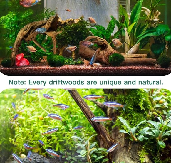 how to lower ph in aquarium