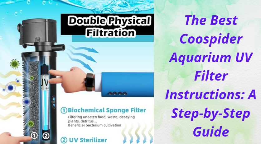 Read more about the article The Best Coospider Aquarium UV Filter Instructions: A Step-by-Step Guide