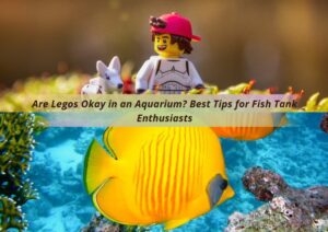Read more about the article Are Legos Okay in an Aquarium? Best Tips for Fish Tank Enthusiasts