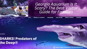 Read more about the article Georgia Aquarium Is It Scary? The Best Visitor Guide for Families