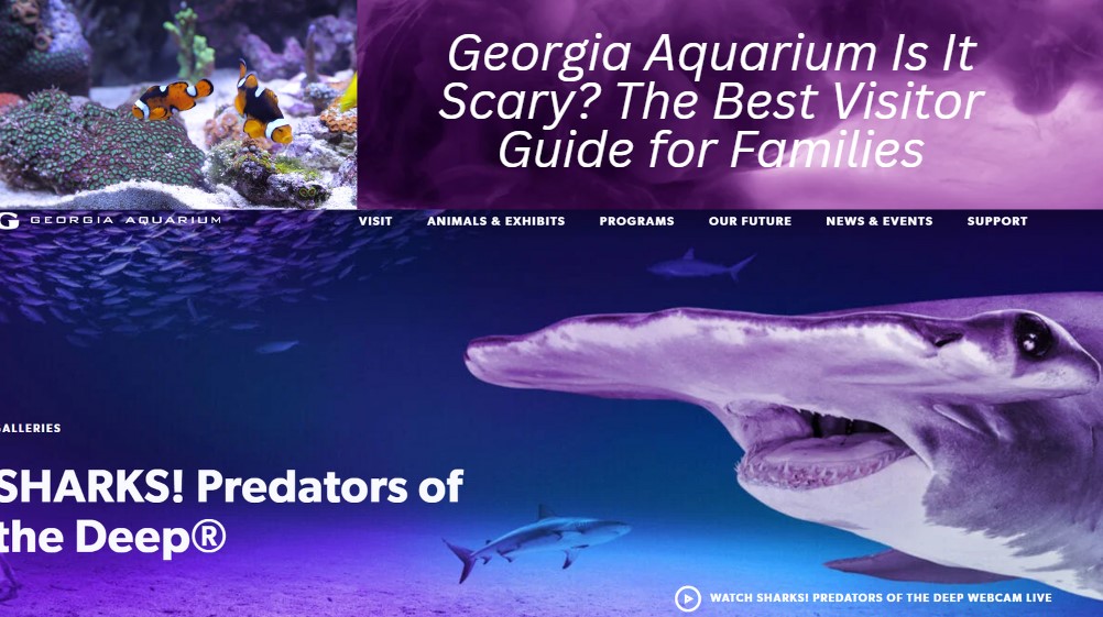 Read more about the article Georgia Aquarium Is It Scary? The Best Visitor Guide for Families