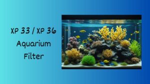 Read more about the article XP 33 / XP 36 Aquarium Filter: A Comprehensive Review and Comparison