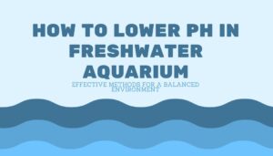 Read more about the article How to Lower pH in Freshwater Aquarium: Effective Methods for a Balanced Environment