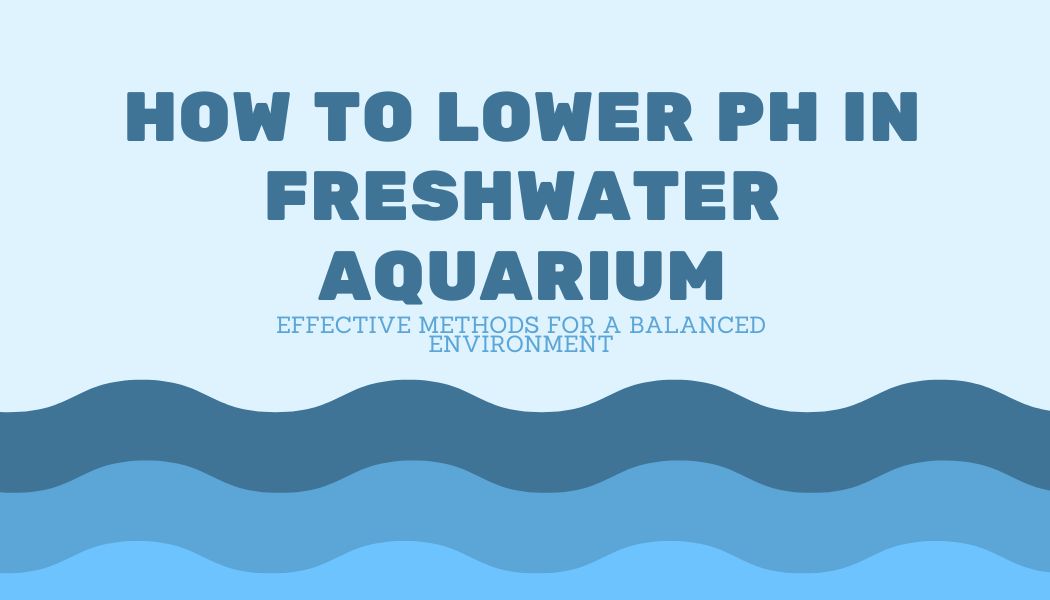 Read more about the article How to Lower pH in Freshwater Aquarium: Effective Methods for a Balanced Environment