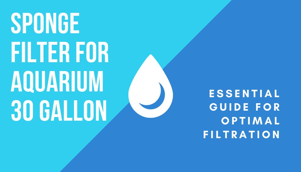 Read more about the article Sponge Filter for Aquarium 30 Gallon: Essential Guide for Optimal Filtration