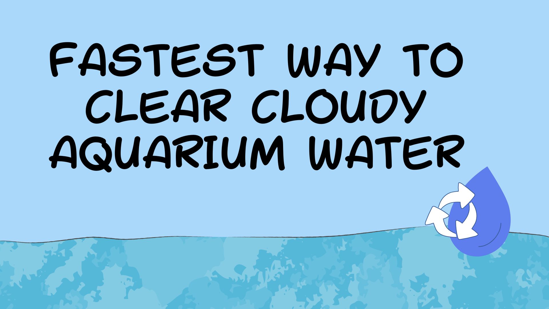 Read more about the article Fastest Way to Clear Cloudy Aquarium Water: Effective Solutions for a Crystal-Clear Tank