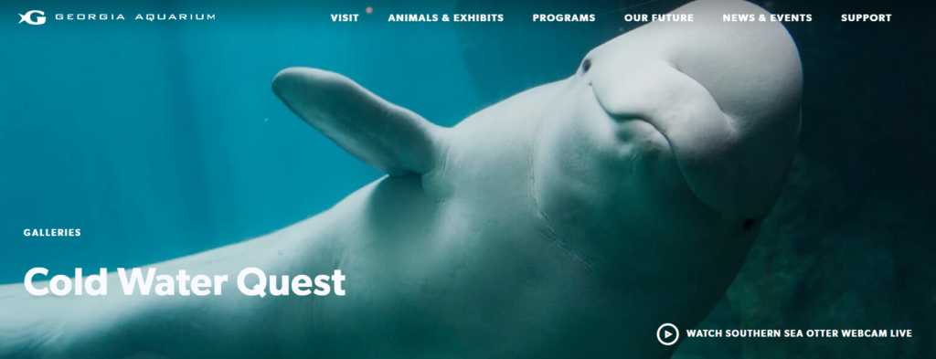 georgia aquarium are kids free