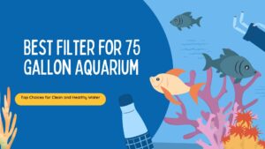 Read more about the article Best Filter for 75 Gallon Aquarium: Top Choices for Clean and Healthy Water