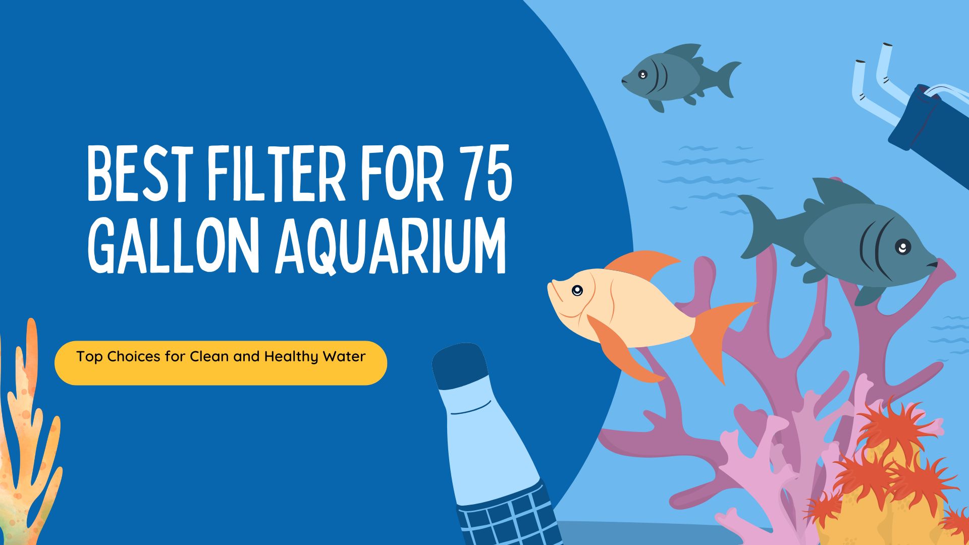 Read more about the article Best Filter for 75 Gallon Aquarium: Top Choices for Clean and Healthy Water