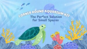 Read more about the article Corner Round Aquarium Kit: The Perfect Solution for Small Spaces