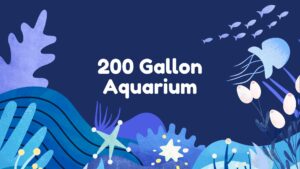 Read more about the article 200 Gallon Aquarium: Essential Guide for Setup and Maintenance