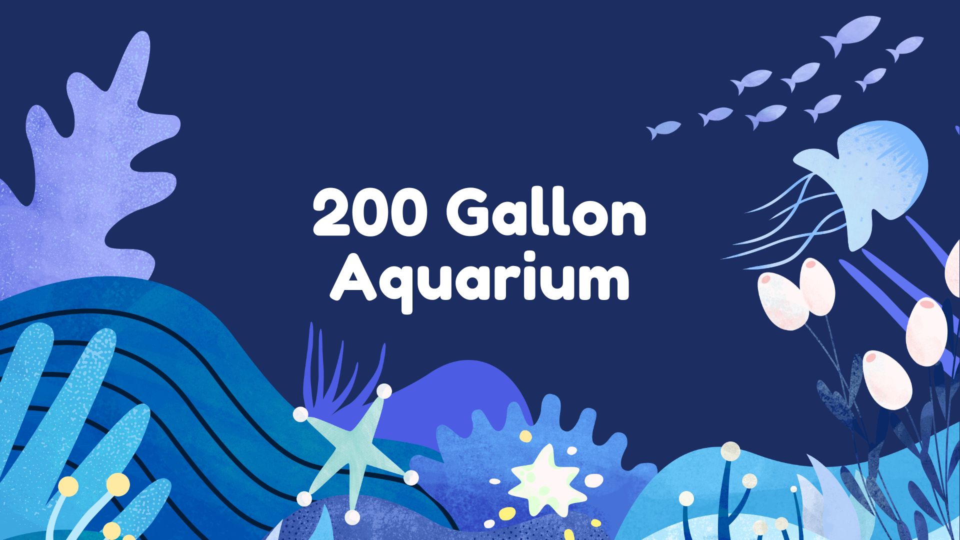 Read more about the article 200 Gallon Aquarium: Essential Guide for Setup and Maintenance
