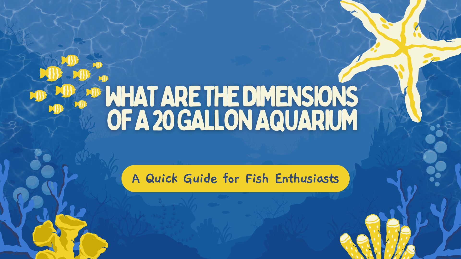 Read more about the article What Are the Dimensions of a 20 Gallon Aquarium? A Quick Guide for Fish Enthusiasts
