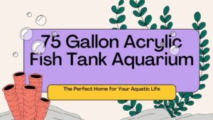 Read more about the article 75 Gallon Acrylic Fish Tank Aquarium: The Perfect Home for Your Aquatic Life