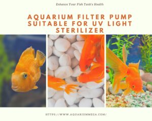 Read more about the article Aquarium Filter Pump Suitable for UV Light Sterilizer: Enhance Your Fish Tank’s Health