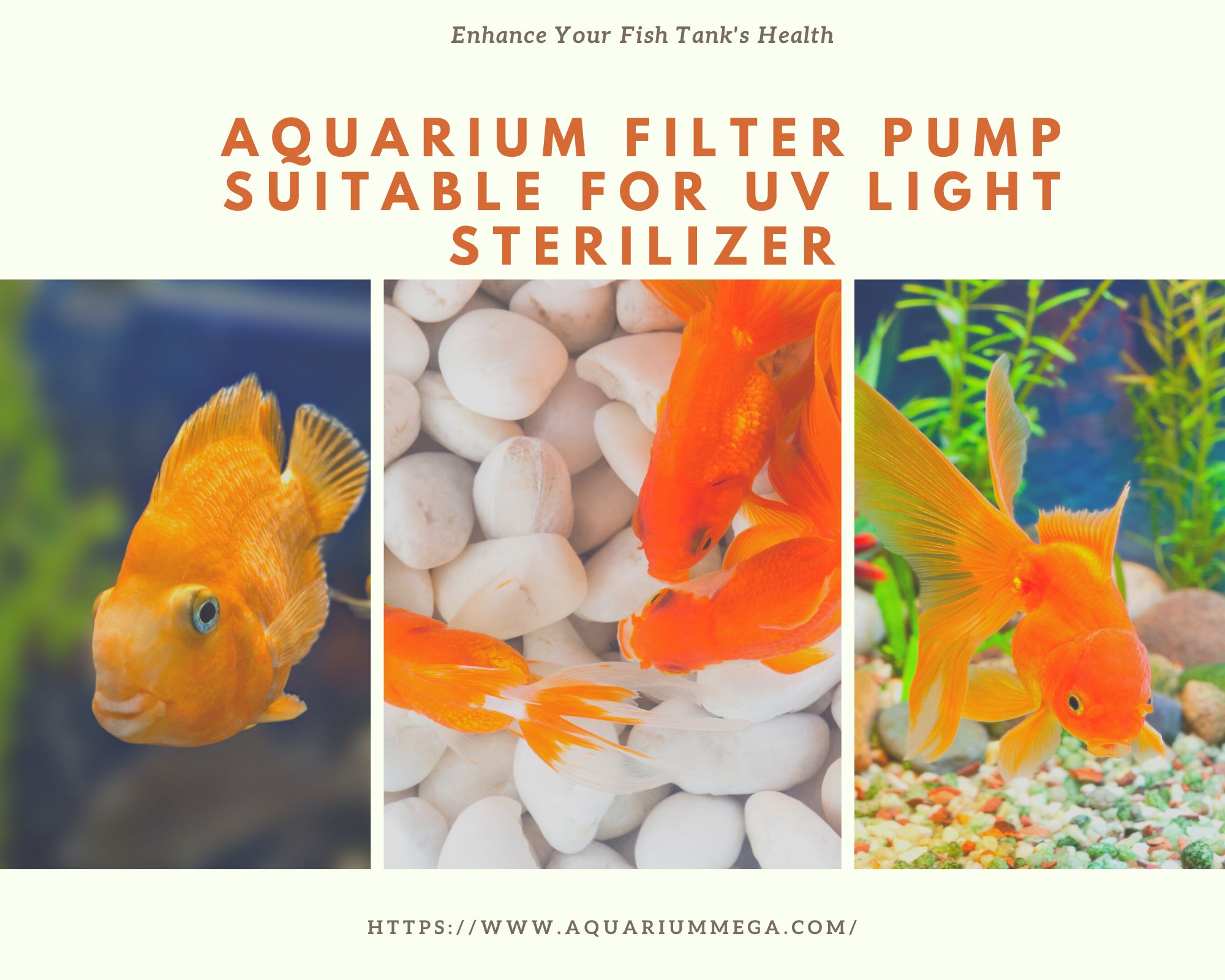 Read more about the article Aquarium Filter Pump Suitable for UV Light Sterilizer: Enhance Your Fish Tank’s Health