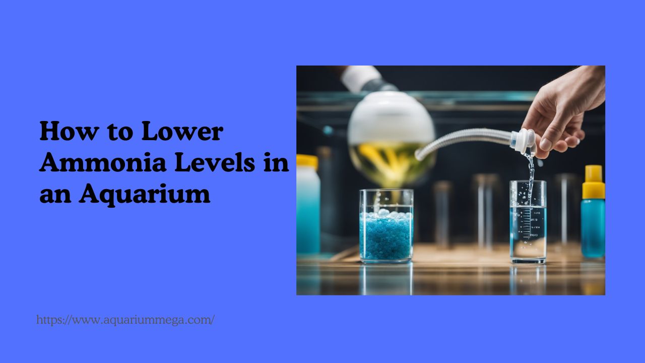Read more about the article How to Lower Ammonia Levels in an Aquarium: Essential Strategies for a Healthy Environment