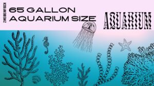 Read more about the article 65 Gallon Aquarium Size: Ideal Dimensions and Setup Tips