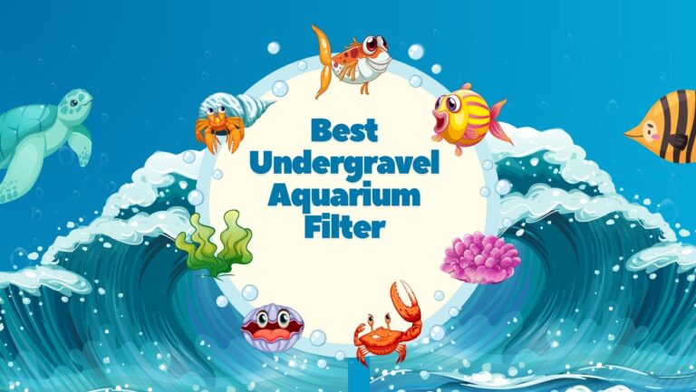 undergravel aquarium filter
