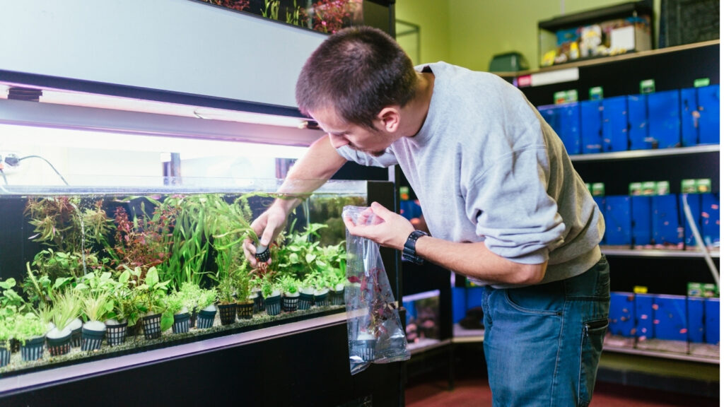 how to choose your first aquarium