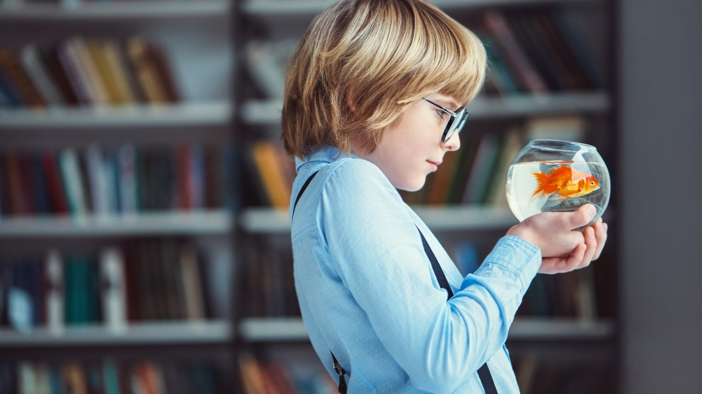Read more about the article How to Choose Your First Aquarium: Beginner’s Guide